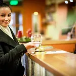 Hotel Vineyard - Szoloskert 3*