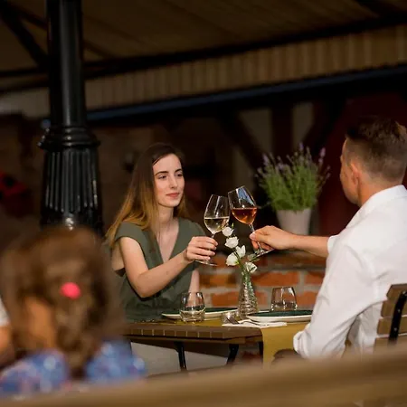 Vineyard - Szoloskert Hotel 3*