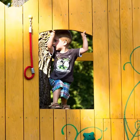 호텔 Vineyard - Szoloskert 3*