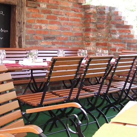 Vineyard - Szoloskert