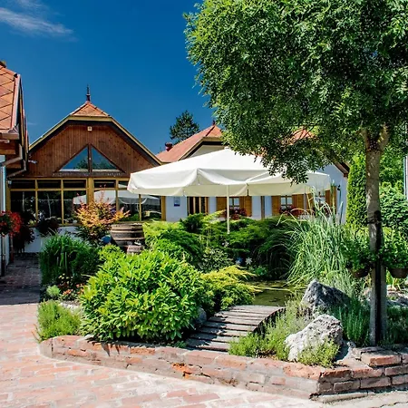 Vineyard - Szoloskert