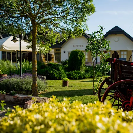 Vineyard - Szoloskert Kanije