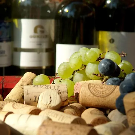 Hotel Vineyard - Szoloskert