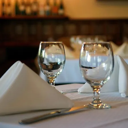 호텔 Vineyard - Szoloskert 나지카니자