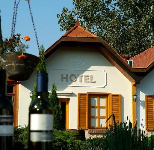 호텔 Vineyard - Szoloskert