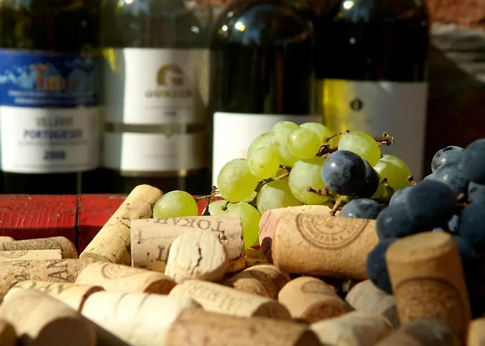 호텔 Vineyard - Szoloskert
